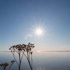 Sonne über dem Fjord