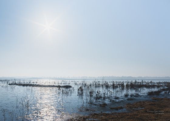Sonne über dem Hochmoor