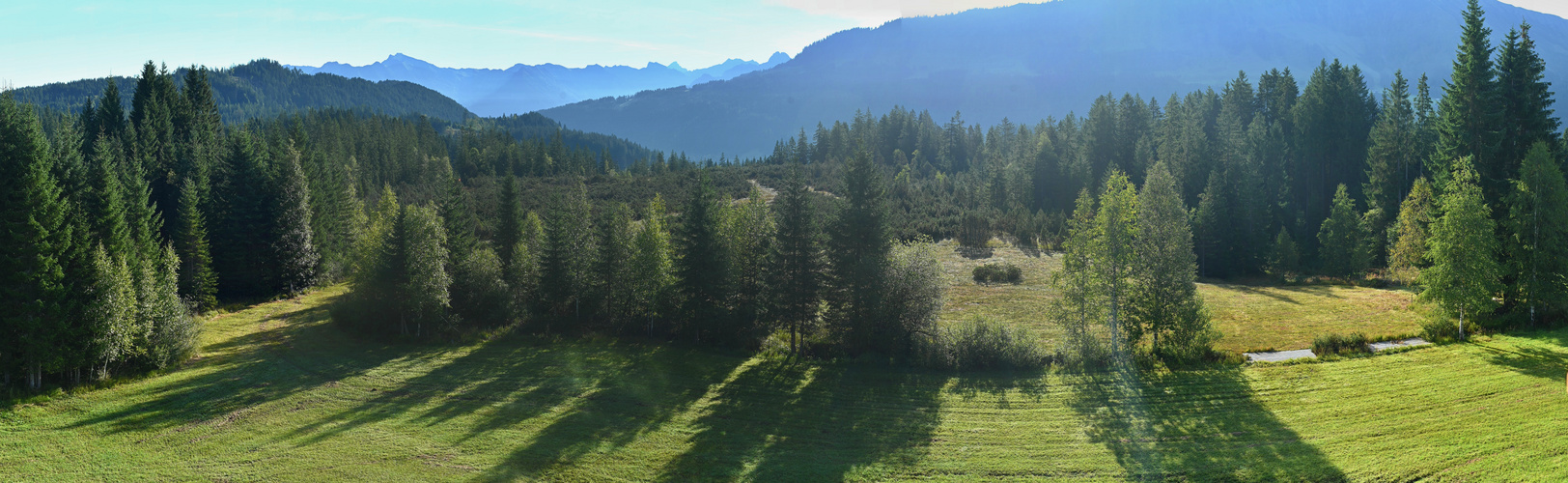 Sonne über dem Klausenwald