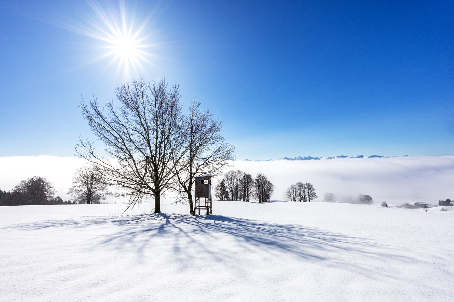 sonne über dem nebel 