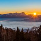 Sonne über dem Nebelmeer