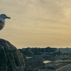 Sonne über dem Petersdom