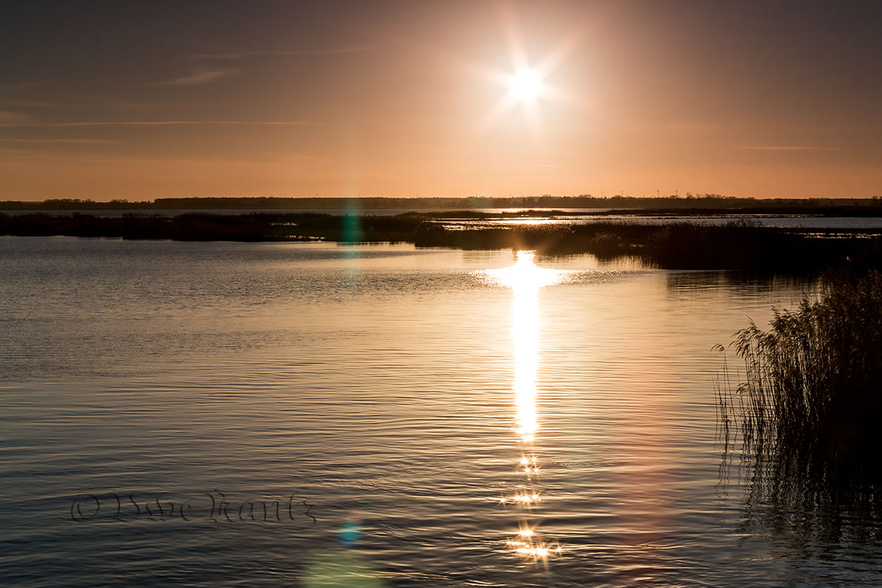 Sonne über dem See