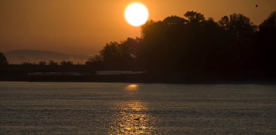 Sonne über dem Ufer