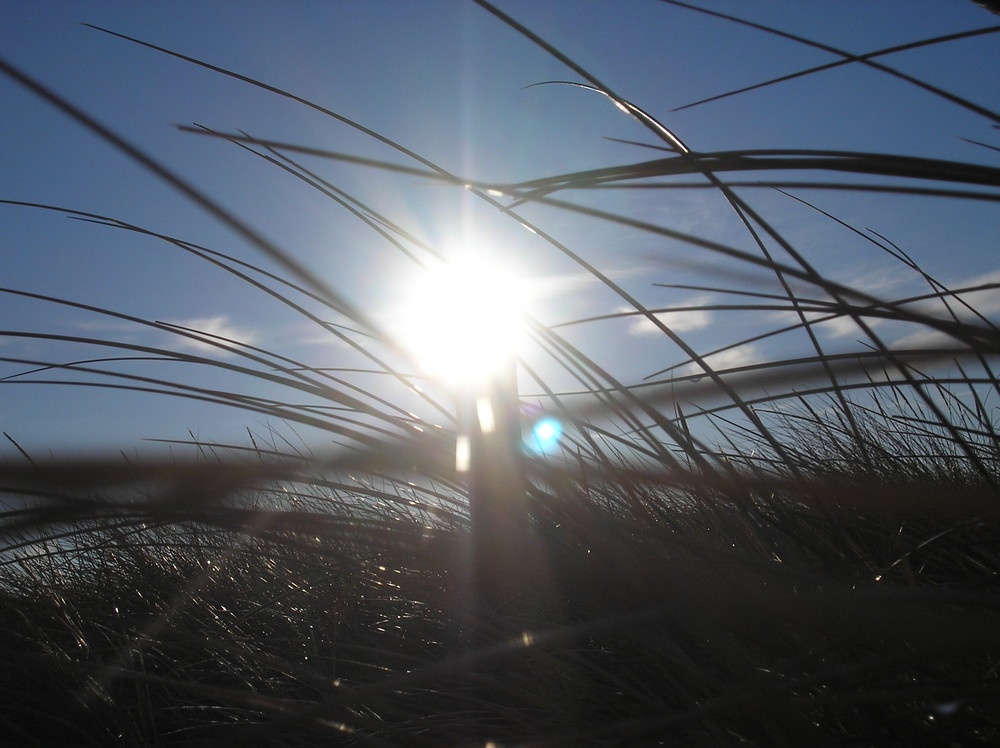 Sonne über den Dünen