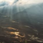 Sonne über den Reisfeldern