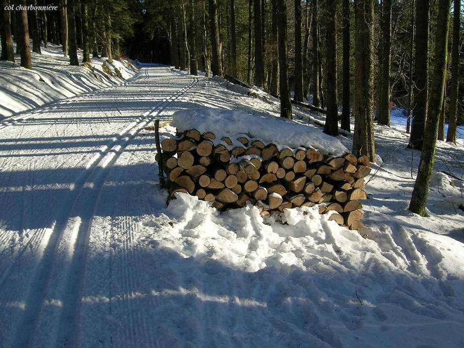 Sonne über den Schnee