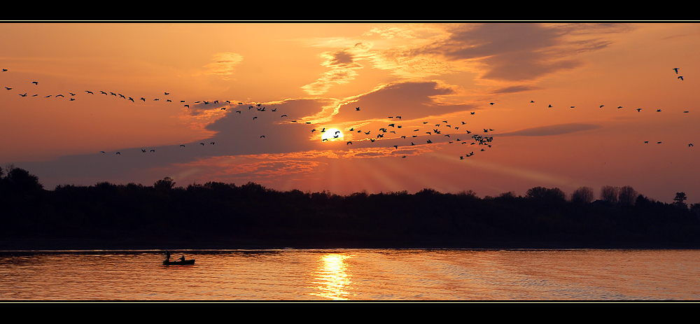 Sonne über der Donau