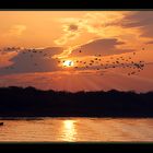 Sonne über der Donau