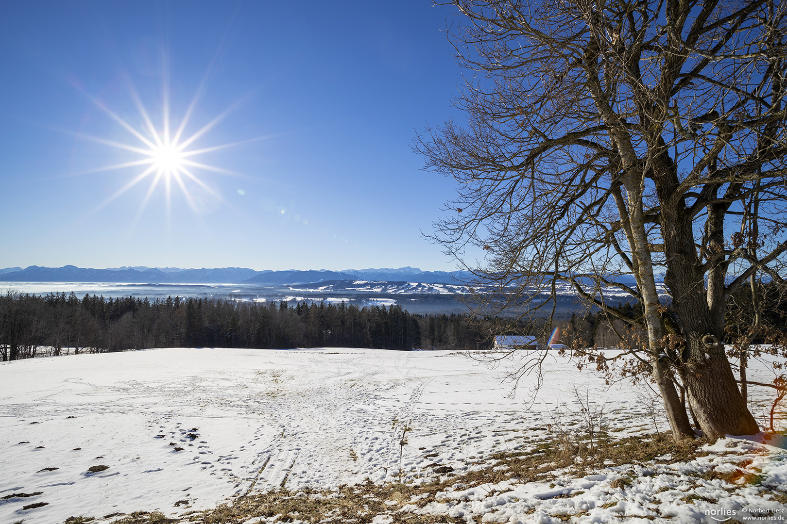 Sonne über der Landschaft