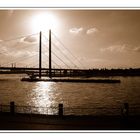 Sonne über der Rheinkniebrücke