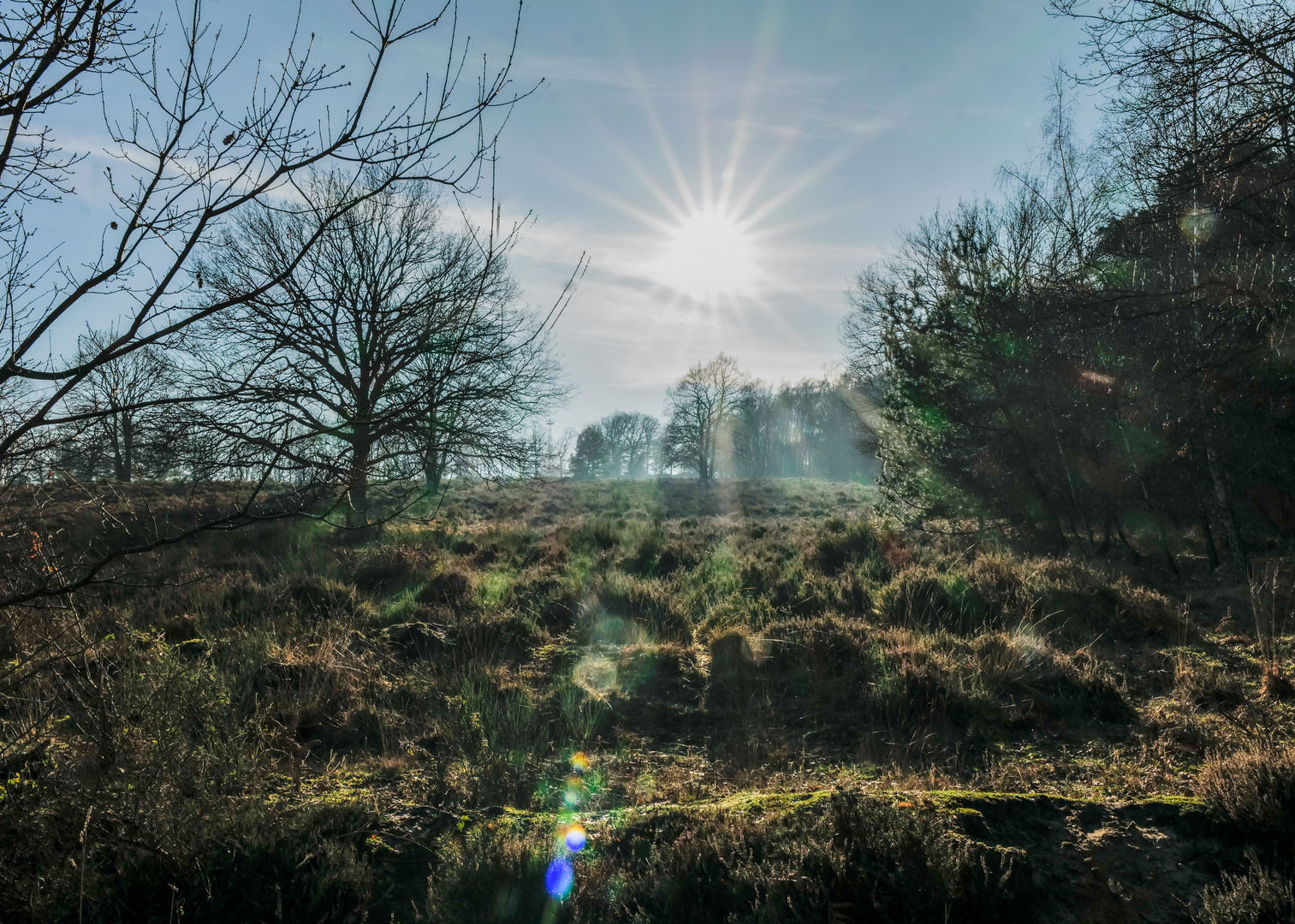 Sonne über der Wahner Heide