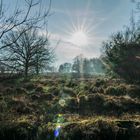 Sonne über der Wahner Heide