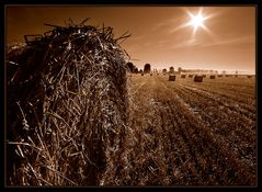 Sonne über Feld mit Strohballen