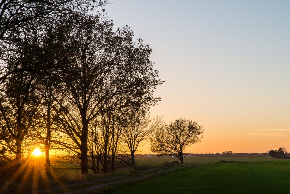 Sonne über Kerpen 18.11.15