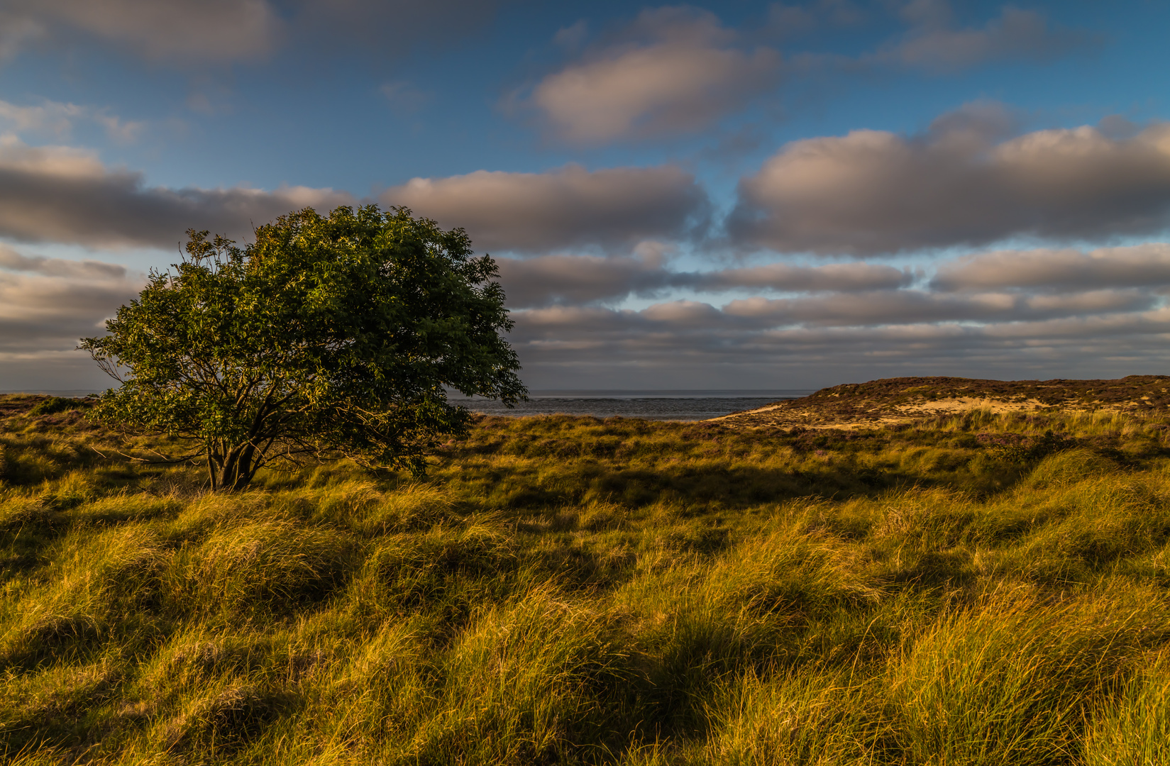 Sonne über Sylt