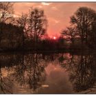 Sonne über Teich