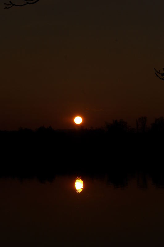 Sonne über und im Staffelsee II