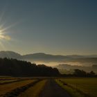 Sonne über Wittgenstein