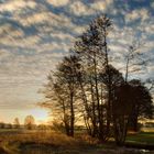 Sonne überm Feld