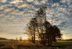 Sonne überm Feld