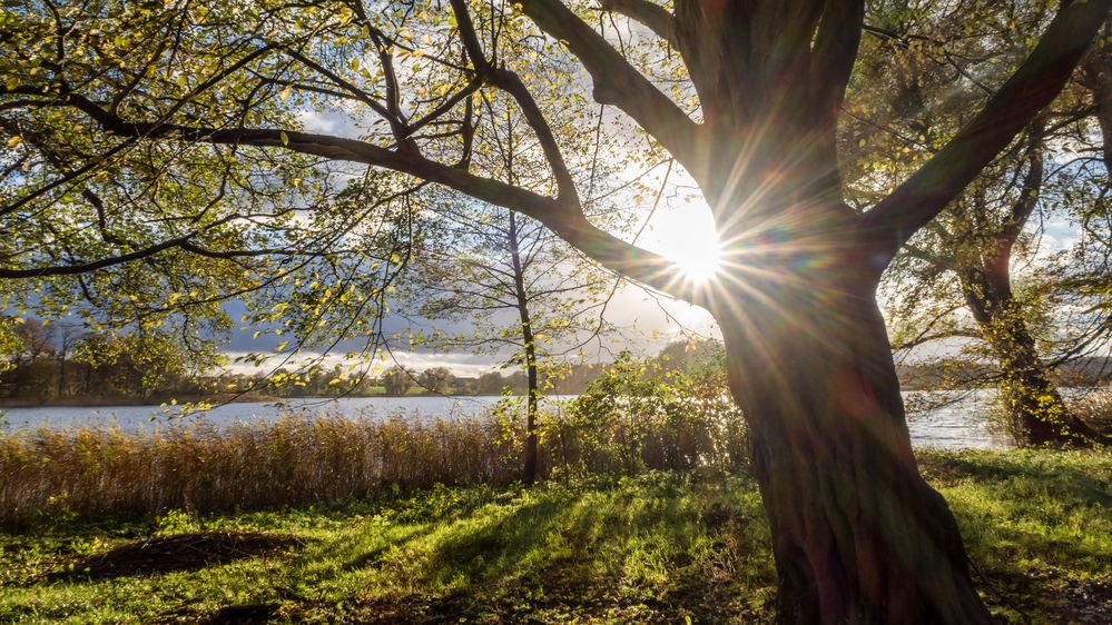 Sonne überm See