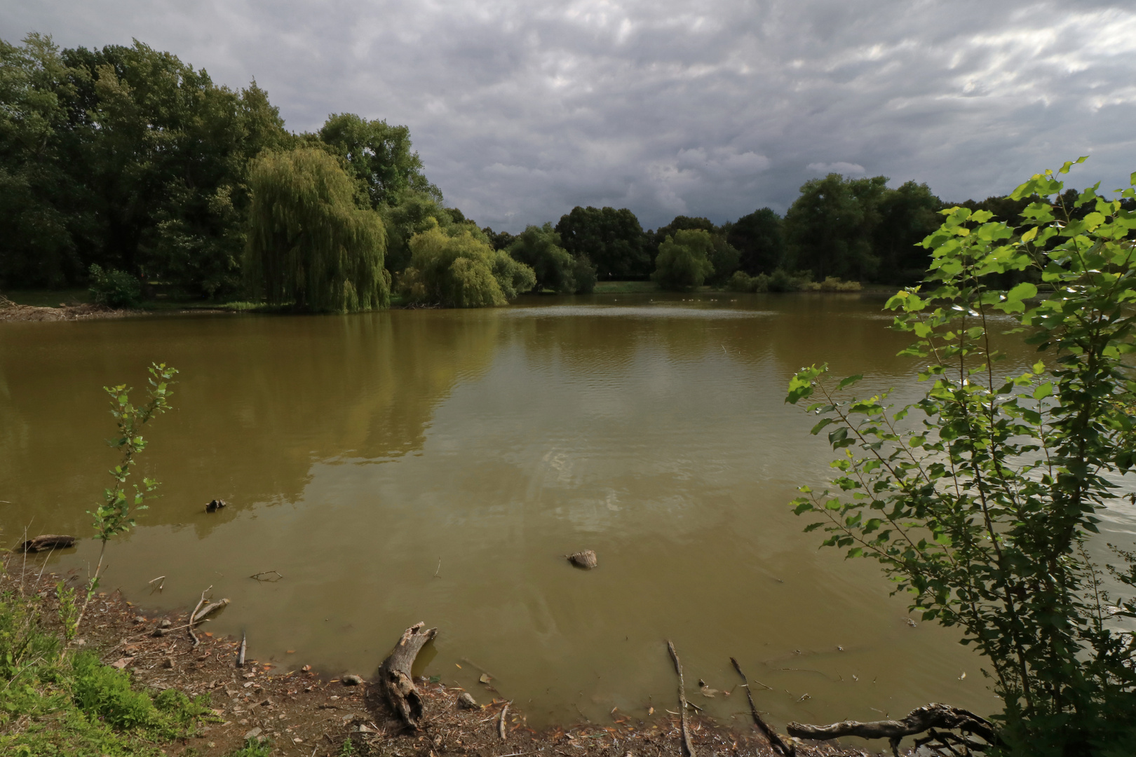 Sonne überm Teich