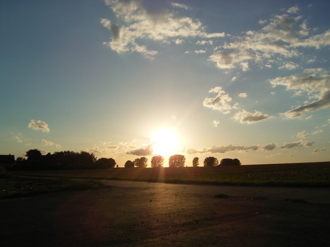 Sonne und Bäume