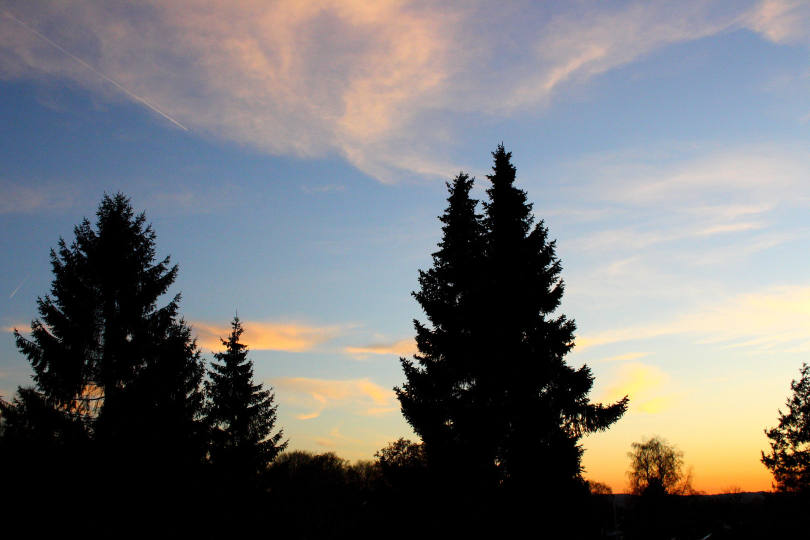 Sonne und Bäume