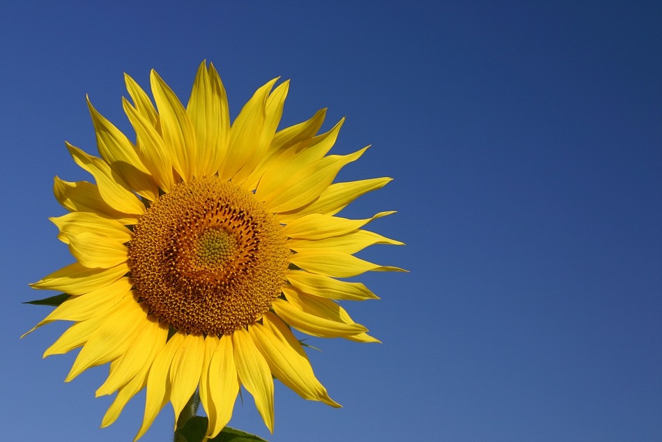 Sonne und blauer Himmel