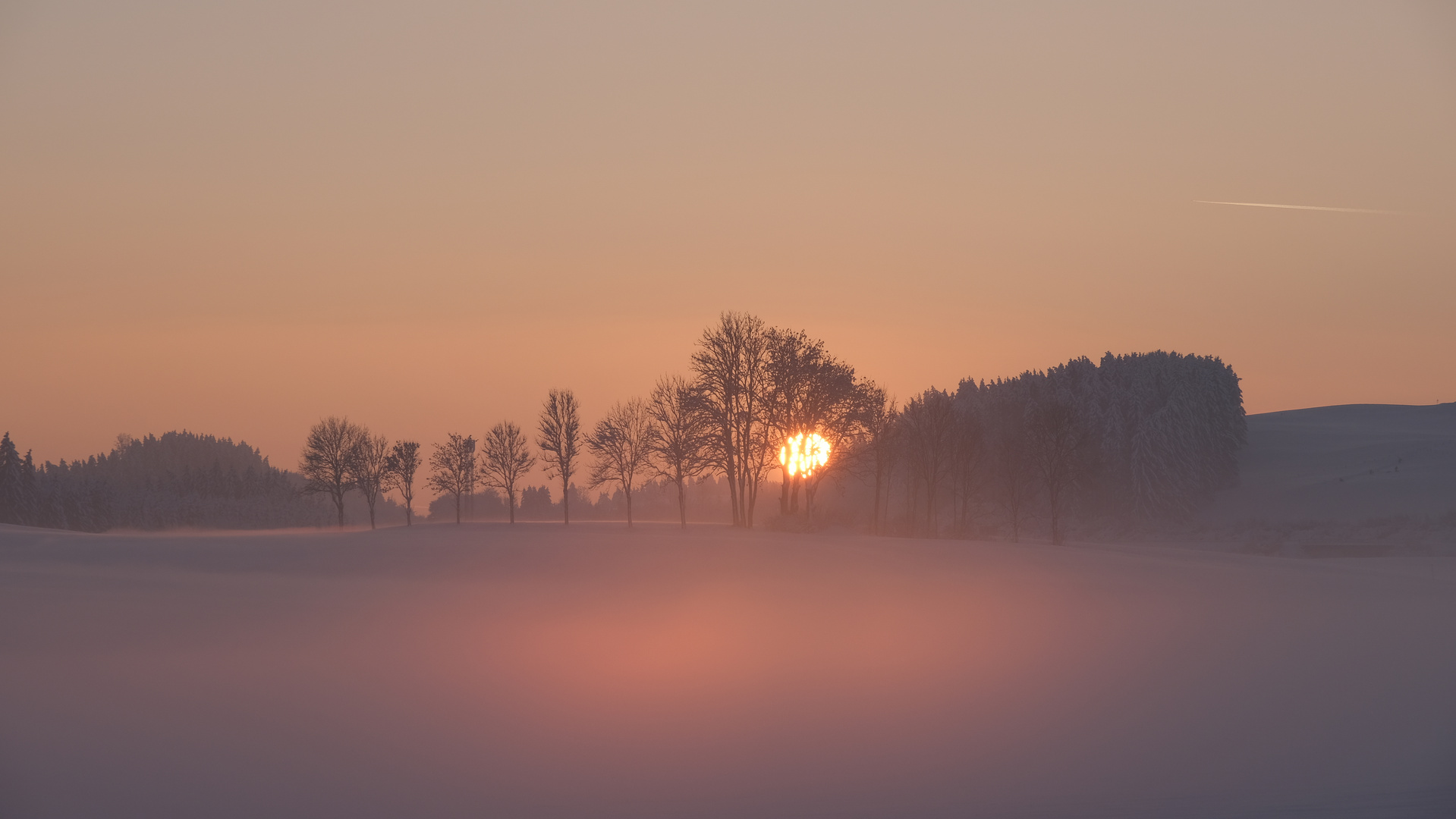 Sonne und Bodennebel