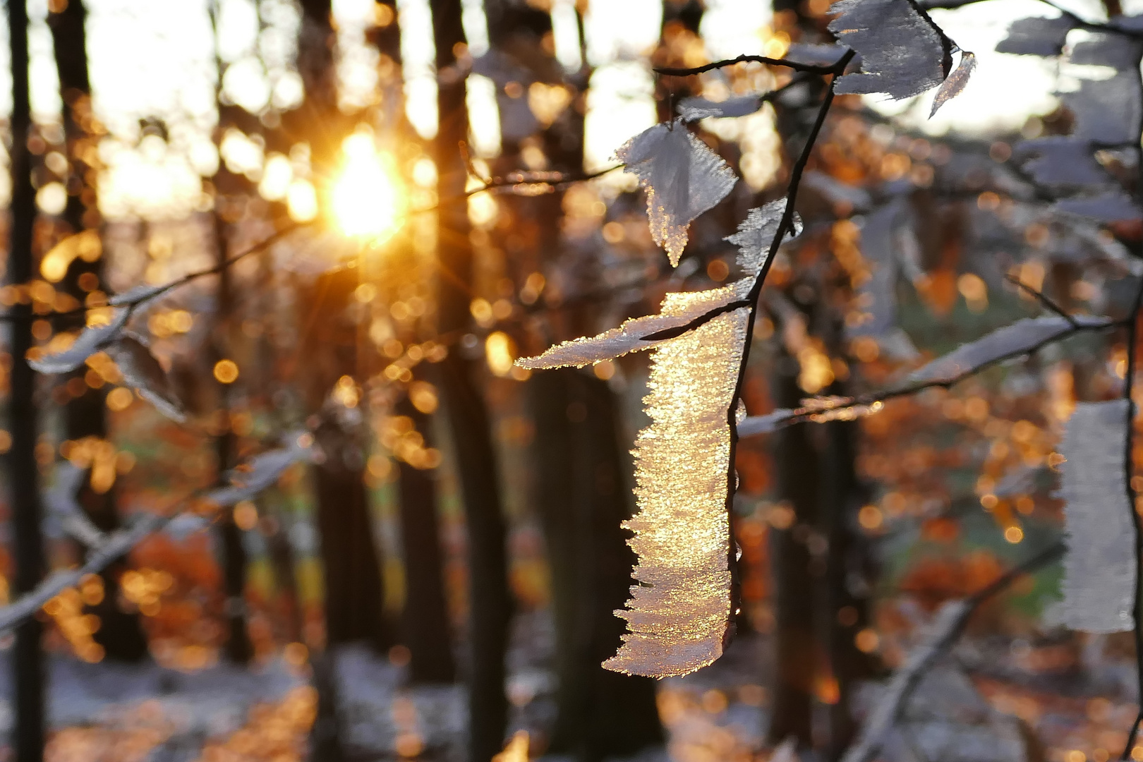 Sonne und Eis