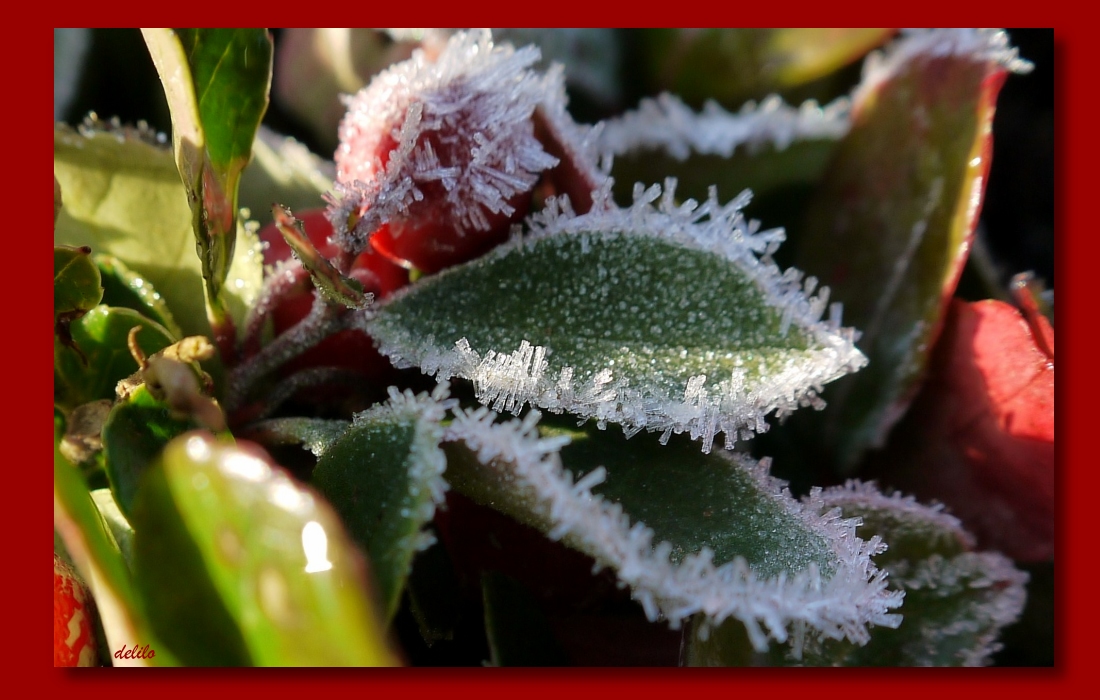 Sonne und Eis