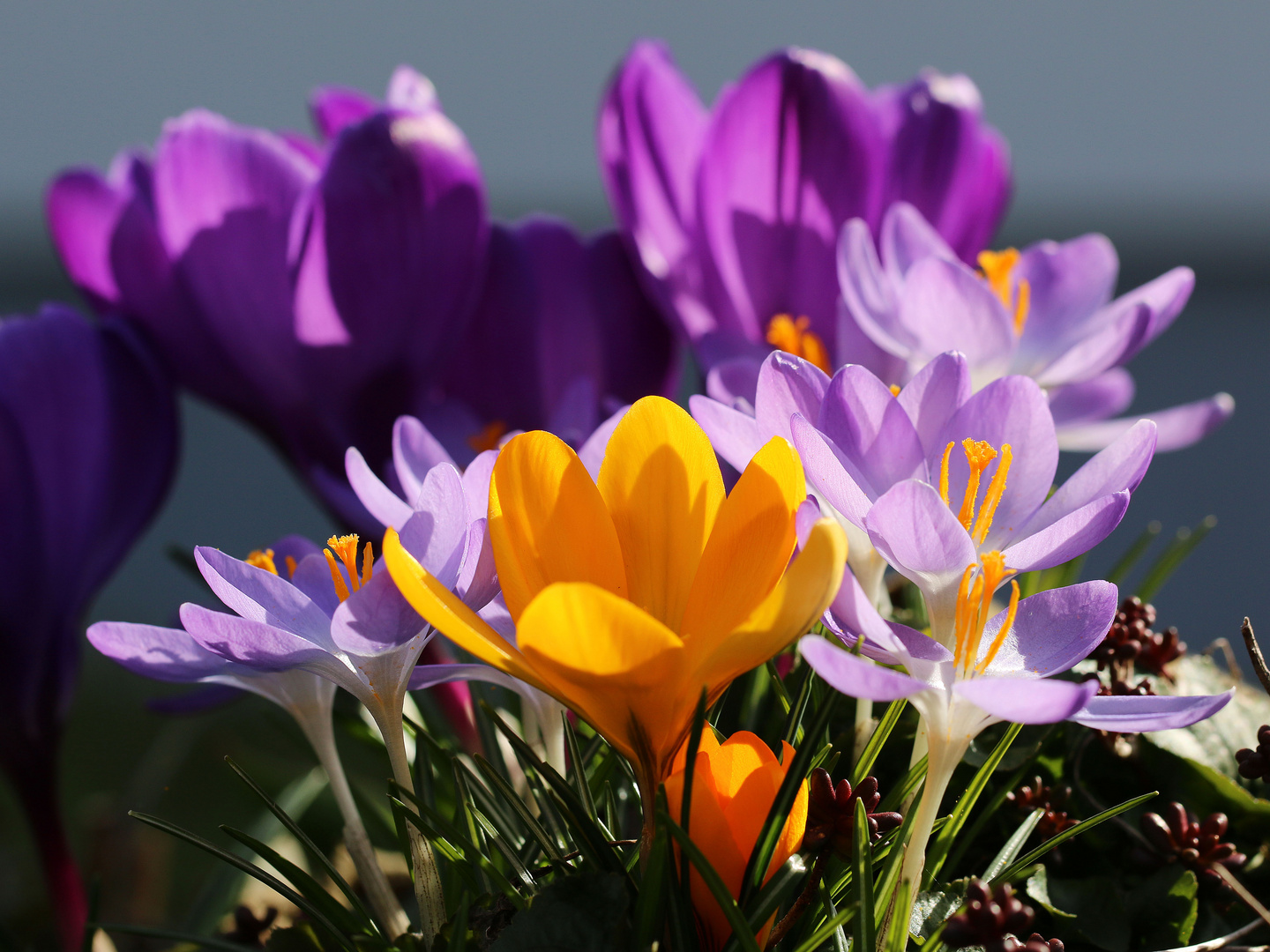 Sonne und Farben strahlen um die Wette