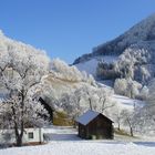 Sonne und Frost