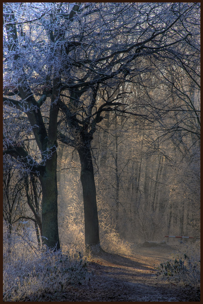 Sonne und Frost