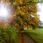 Sonne und Herbst sind die beste Mischung für einen tollen Tag