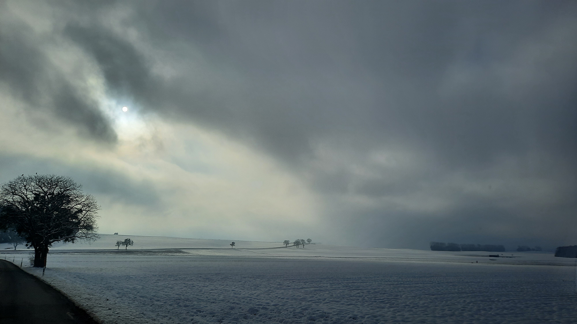 Sonne und Hochnebel im Winter 