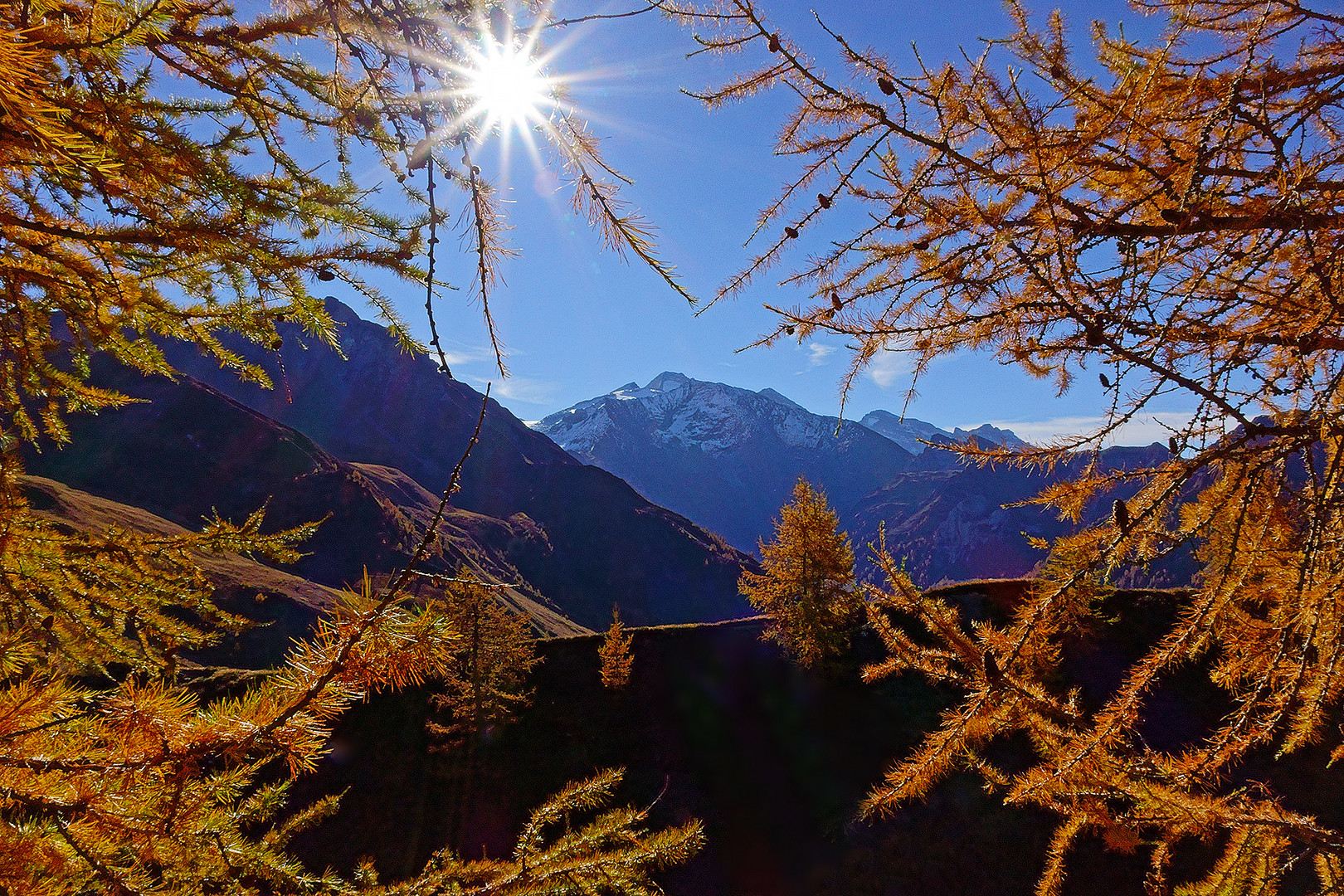 Sonne und Lärchen