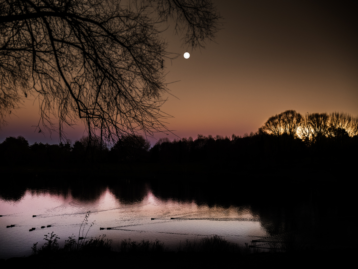 Sonne und Mond 