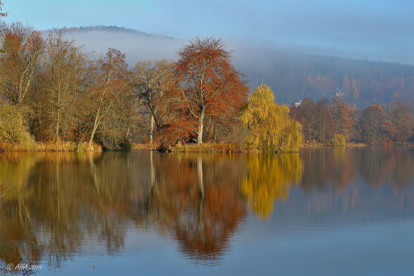 Sonne und Morgennebel