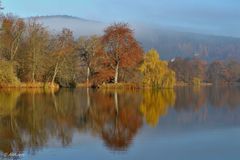 Sonne und Morgennebel