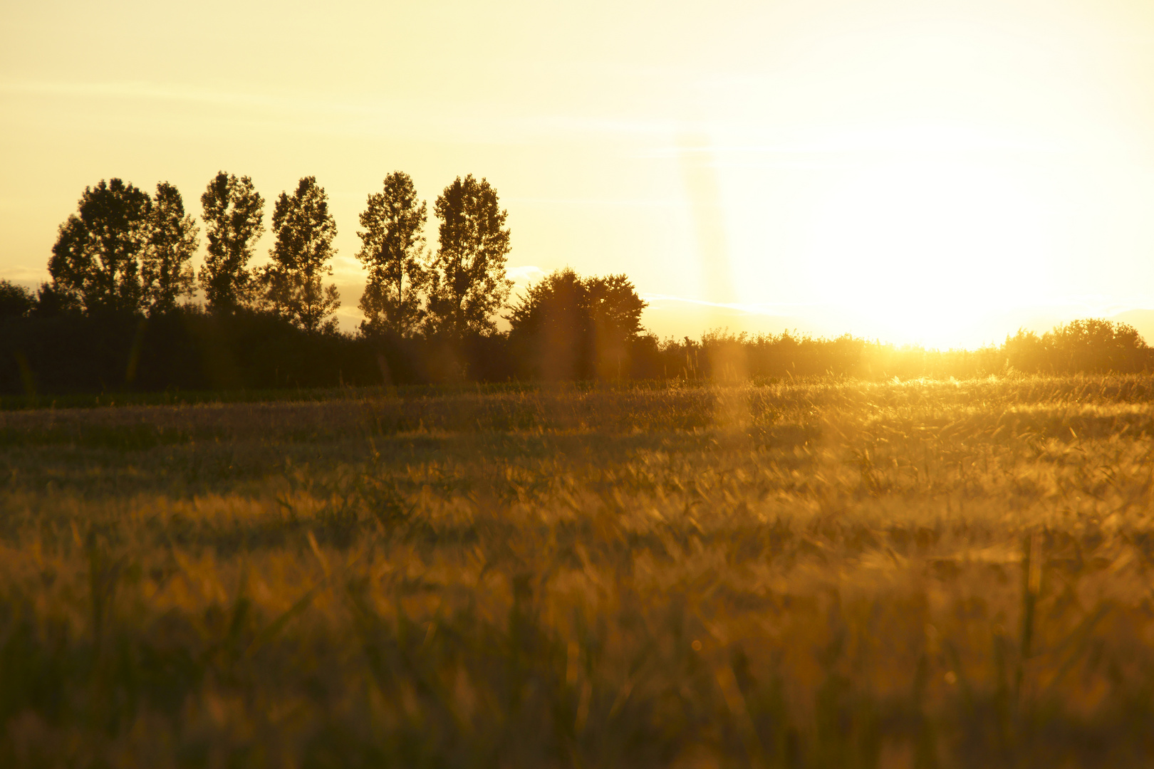 "Sonne und Natur im Einklang"