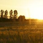 "Sonne und Natur im Einklang"