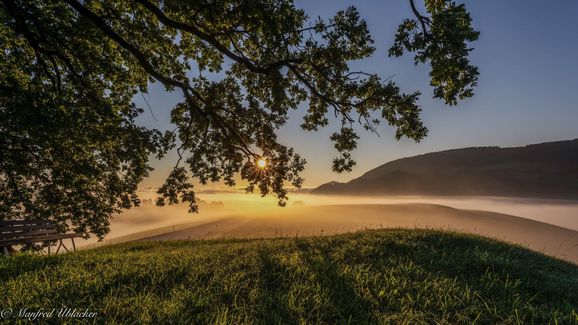 Sonne und Nebel ...