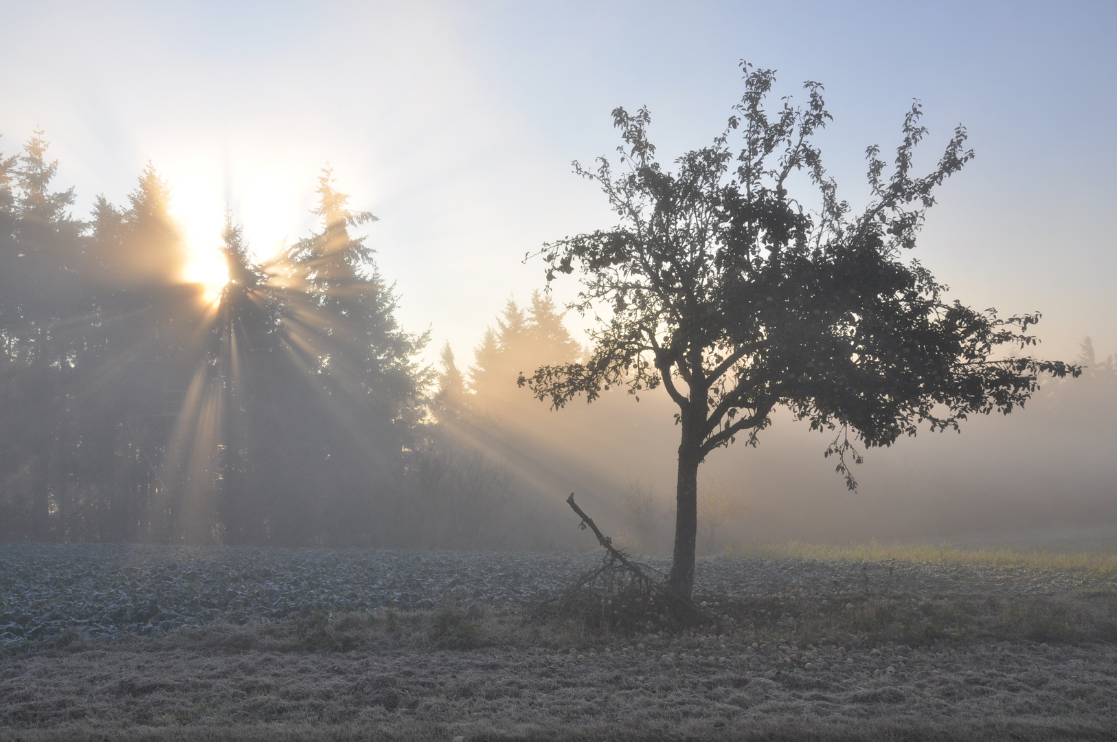 Sonne und Nebel