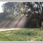 Sonne und Nebel