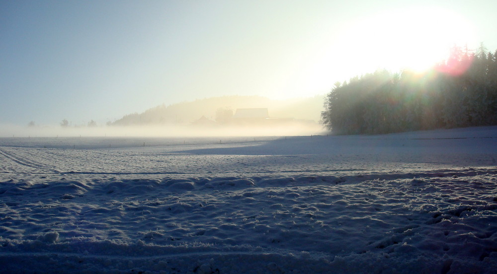 Sonne und Nebel