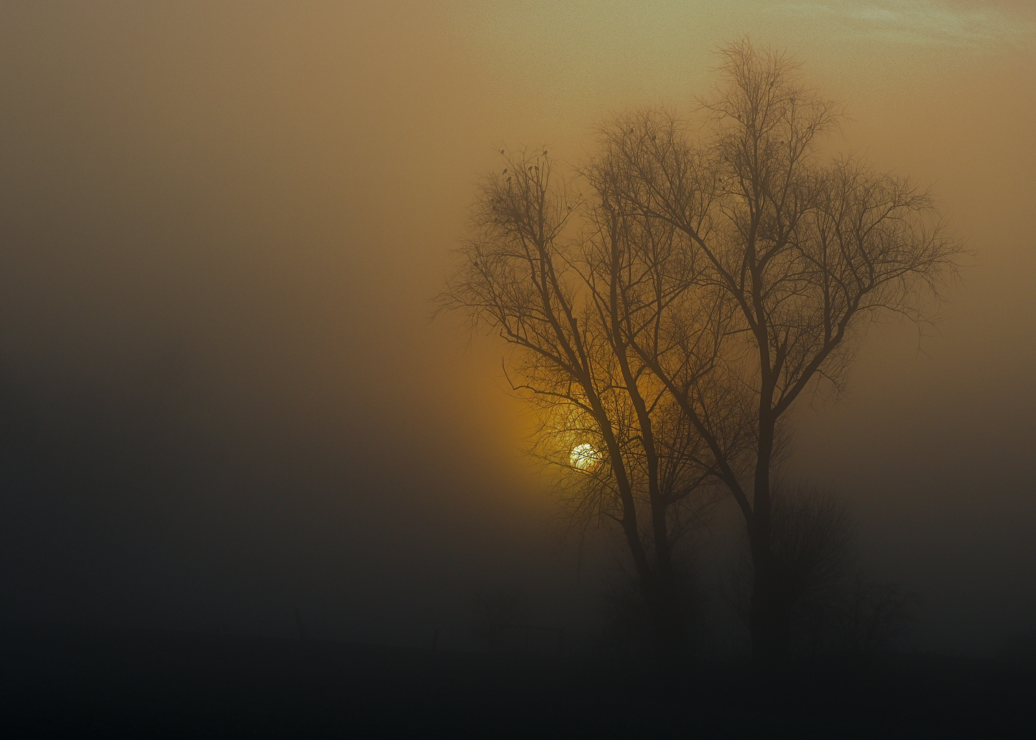 Sonne und Nebel 