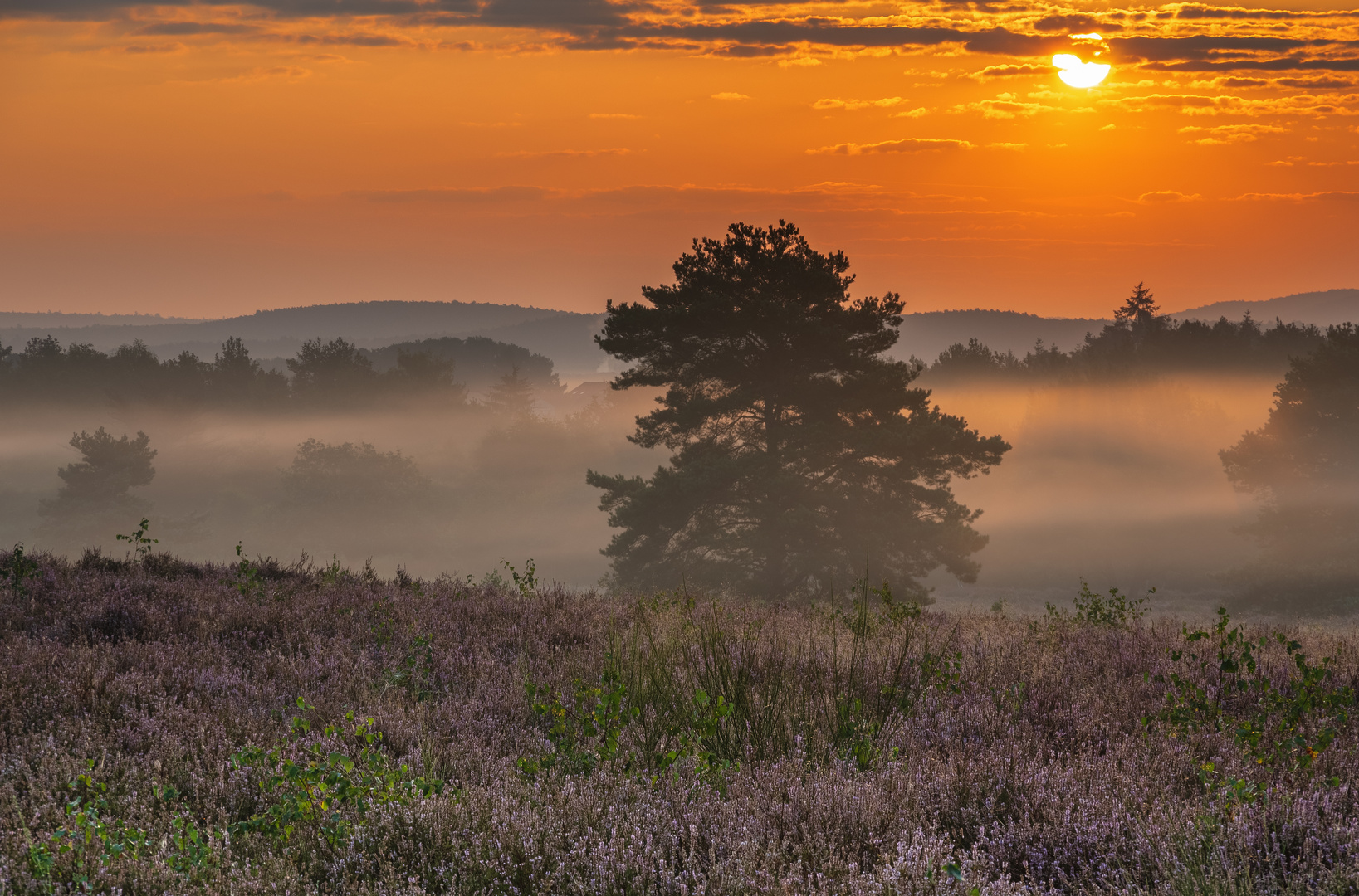 Sonne und Nebel